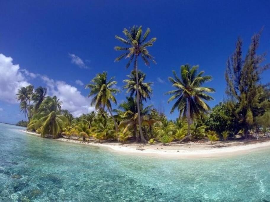 Fare Miti En Bord De Mer Fare Tepua Lodge Uturoa Exterior foto